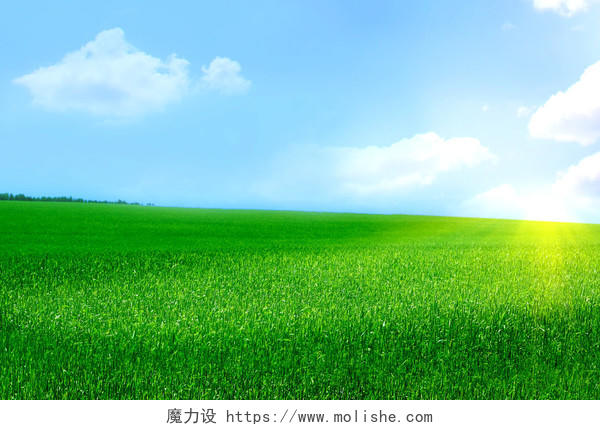 清新明亮自然风景春天蓝天白云阳光下一望无际广阔的草原草地风景图